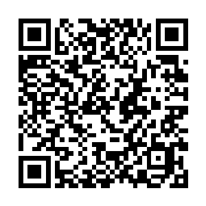 凌老爷子有些好奇冷轩怎么会跟洛千丈这老小子认识二维码生成