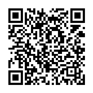 凌菲一边往陶锅里放一边告诉青云按照着顺序跟着她做二维码生成