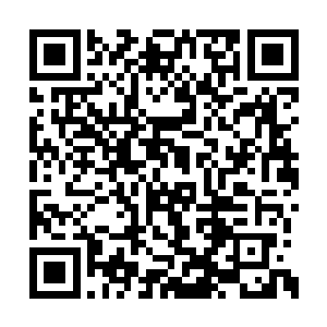 凌菲一边用两个手掌的掌心在雪狼的腹部推压着二维码生成