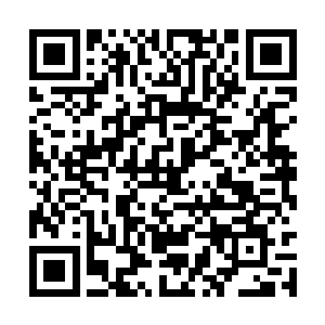 凌菲不由得向跪坐在旁边的那俩人投去同情的目光二维码生成