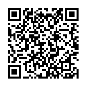 凌菲则一边和面一边在脑子里想面食的一百零八种吃法二维码生成