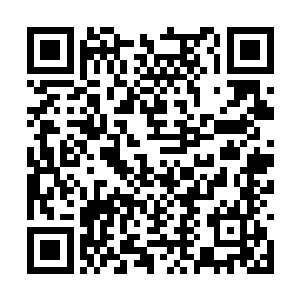 凌菲又开始折腾他们背回来的那些稀奇古怪的东西二维码生成