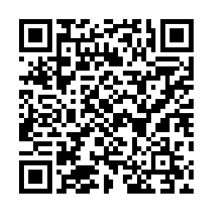 凌菲只能算是超级美食大国里一个小小的不起眼的普通人二维码生成