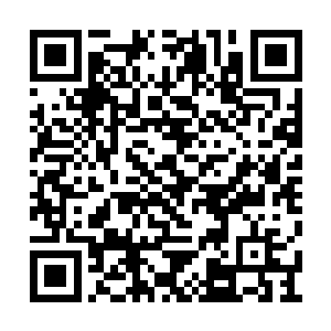 凌菲在这边一呆就是大半年引起了旁边人的注意二维码生成