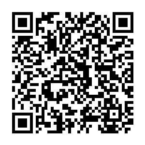 凌菲大概也不会在乎那个死人在掉进盐湖之前生生的被斩断两条手臂隔断喉咙二维码生成
