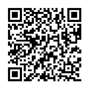 凌菲就不由得想起那个充斥着血腥和嘶吼的战场二维码生成