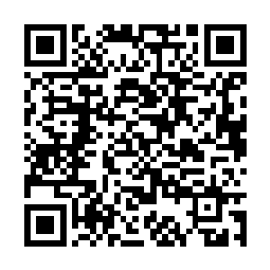 凌菲就开始了语重心长和晓之以理动之以情的说服二维码生成