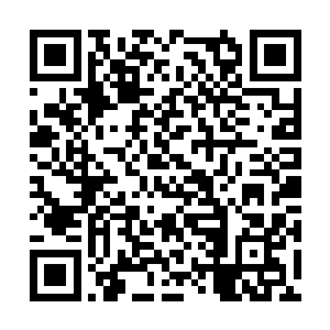 凌菲就看到袭击她的苍鹰硬喙正啄在龙战的肩膀上二维码生成