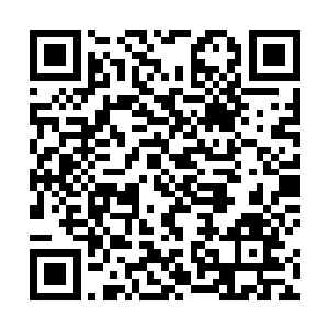 凌菲就站在旁边一边看一边摸灰团子的毛茸茸的小脑袋二维码生成