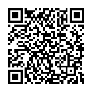 凌菲才发现老祭祀皱着的眉头奇迹般的舒展开了二维码生成