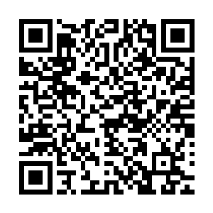凌菲把这事讲给女人们听的时候每个人眼睛里满满的都是惊喜二维码生成