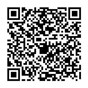 凌菲暂时还没有想要睡觉的心思便把昨天剩下的那些还没有看的东西拿过来二维码生成