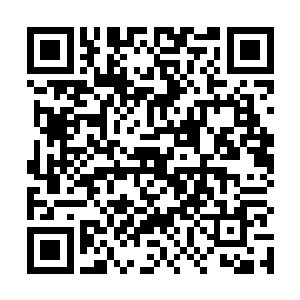 凌菲的忧心转到了此时身在飞龙部落的那些白雾族的人二维码生成