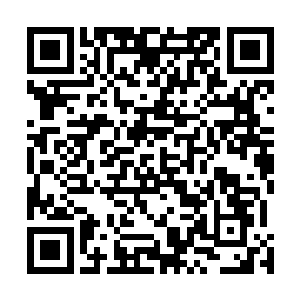 凌菲的治疗就在典绷紧的神经和坤的感同身受中中进行了二维码生成