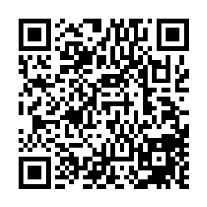 凌菲的脑子里已经出现了香喷喷的米饭还有成片成片的稻田二维码生成