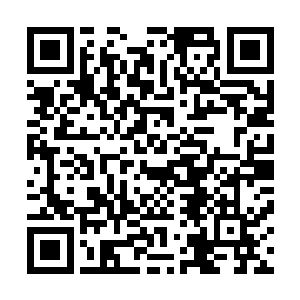 凌菲看清楚的时候正好听到龙战命令大家不要慌张不要乱动二维码生成