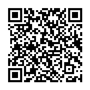 凌菲知道肯定是龙战发现了什么才会那么速度赶回来二维码生成