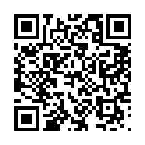 凌菲终于开始了梦寐已久的猫冬生活二维码生成