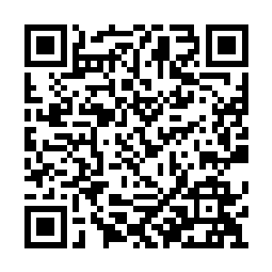 凌菲给白城的治疗足以让所有人震撼的不能言语二维码生成