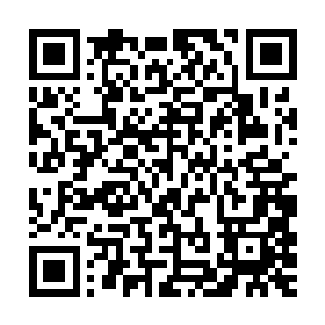 凌菲赶紧拿起自己花了一下午收拾好的东西带着龙天在前面带路二维码生成