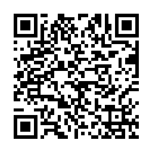 凌菲赶紧蹲下身接过龙战手里的食物递到那俩人的手里二维码生成