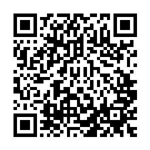 凌菲跟老祭祀和白娇她们打了个招呼就跟阿姐凌雅一起回家了二维码生成