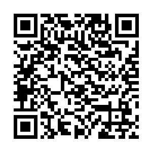 凌菲踮起脚尖非常艰难的在族长大人的侧脸上亲了一小下二维码生成