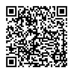 凌菲边从旁边的筐子里拿了两根叶片肥大的花唐松草递到千山的嘴边二维码生成