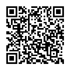 凌菲还在想冰下捕的鱼好像比之前的味道要好点二维码生成