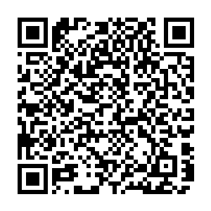 凌菲还是十分珍惜的把扒下来的叶子还有切成两半的圆白菜放到干净的陶盆里二维码生成