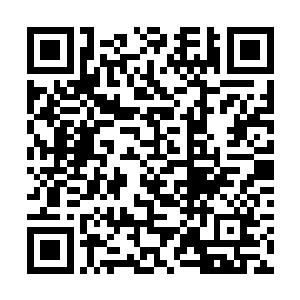 凌菲连着过来好几天都没看到灰团子有点小小的寂寞二维码生成