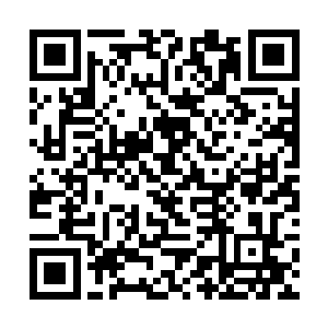 凌菲醒来得到第一个好消息就是粉果已经弄回来一批二维码生成