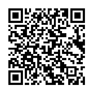 凌菲长的好看不说还一身好医术而且还懂的那么多二维码生成