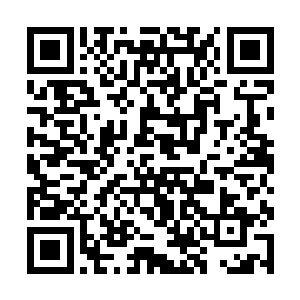 凌菲顿时有种自己好像挖了个坑把自己给埋了的感觉二维码生成