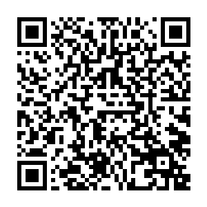 凌菲骑在雪狼的背上所以有幸不用体会那种一脚踩到泥里死活拔不出来的感觉二维码生成