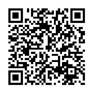 凌蘭决定今天回家就与她老妈商量一下这个事情二维码生成