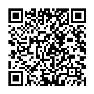 凌蘭同样也感觉到对面传来的力量超过她的承受极限二维码生成