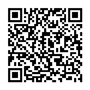 凌蘭对这个与她选择相同的学生不由地心生好奇起来二维码生成