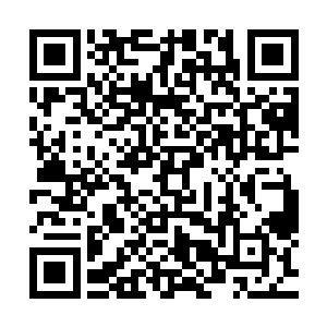 凌蘭斩钉截铁的口气让所有七年级学生的注意力都集中了过来二维码生成