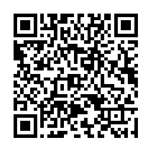 凌雪鹫没费多少时间便顺利找到刻在墙壁上的标记二维码生成