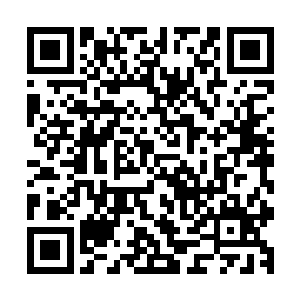 凌霄凭着灵石和丹药将自己的修为推上了筑基期第十一层中期二维码生成