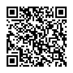 凌霄正坐在书房里翻阅最新军部传来的内参信息二维码生成