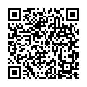 凑巧的是那些蛇族妖女居然大多数都有着合体期实力二维码生成