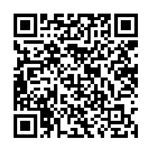 凝成了一只同时蕴含两种不同属性法则的仙元大掌二维码生成