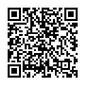 凝结成一道粗达三米的血色雷劫绕过叶问天朝小青龙当头劈落二维码生成