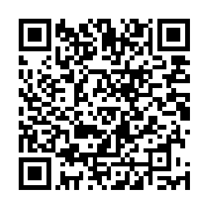 凝聚了不灭神魂的蛮苍虽然说战斗力没有办法跟主神相比二维码生成