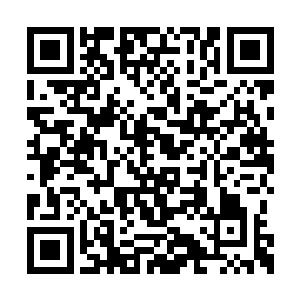凝聚了全部元力的天极掌直接就拍想了他的后背二维码生成
