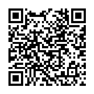 凝聚了帕洛奇亚全力一击的魔枪就被黑意牵引进去二维码生成