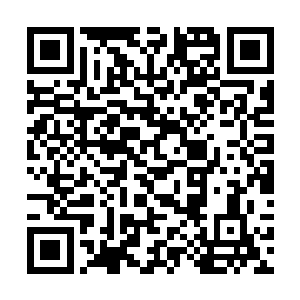 凝聚了翡翠号数百代舰长全部智慧和力量的魔女基因二维码生成