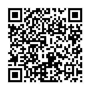 凝聚在李天权太上长老手上的那些火属性魔法元素二维码生成